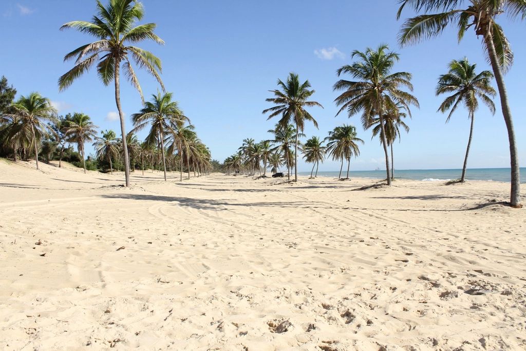 The beach and the water beyond it